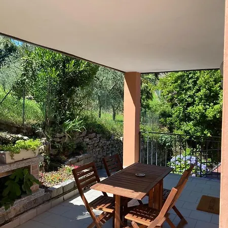 Zenzero * ベッラージョ